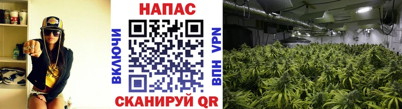 гидра вход  Старица  Канабис SATIVA & INDICA  сколько стоит 